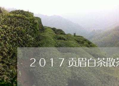 2017贡眉白茶散茶价格/2023033062517