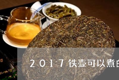 2017铁壶可以煮白茶吗/2023033058383