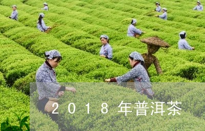 2018年普洱茶/2023041293038