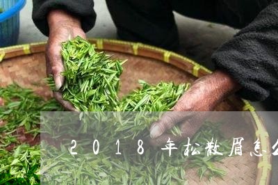 2018年松散眉怎么泡/2023033000381