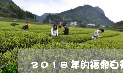 2018年的福鼎白茶贡眉/2023033025928