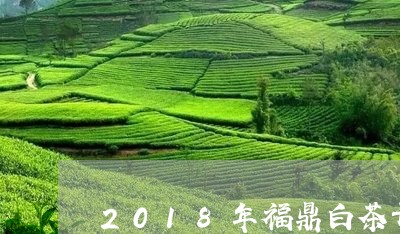 2018年福鼎白茶开采节/2023033018584