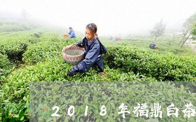 2018年福鼎白茶砖价格/2023033002505