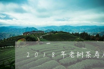 2018年老树茶寿眉区别/2023033023958