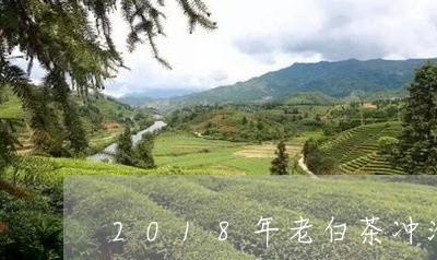 2018年老白茶冲泡方法/2023033022835