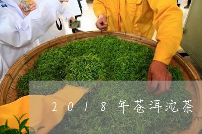 2018年苍洱沱茶/2023041622947