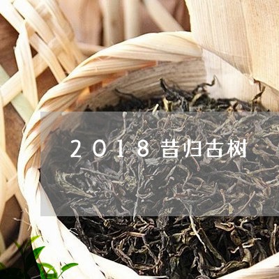 2018昔归古树/2023032304845