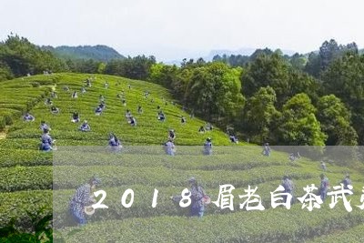 2018眉老白茶武夷星/2023033002505