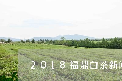 2018福鼎白茶新闻视频/2023033012926