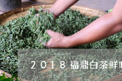 2018福鼎白茶鲜叶价格/2023033061918