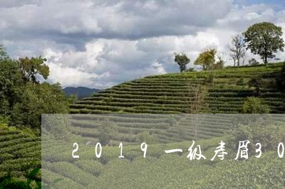 2019一级寿眉300克/2023033091794