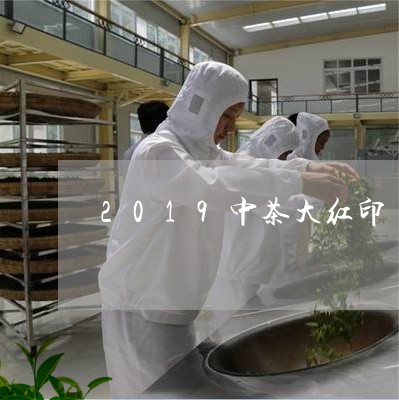 2019中茶大红印/2023041736151