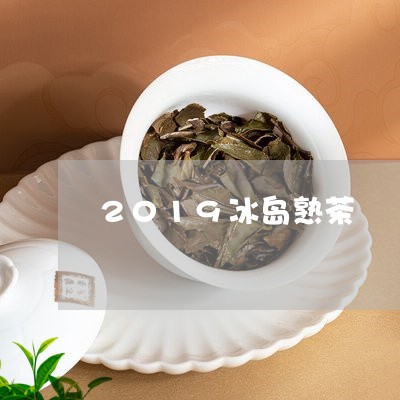 2019冰岛熟茶/2023032844838