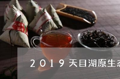 2019天目湖原生态白茶/2023033014048