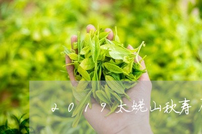 2019太姥山秋寿眉茶饼/2023033083037