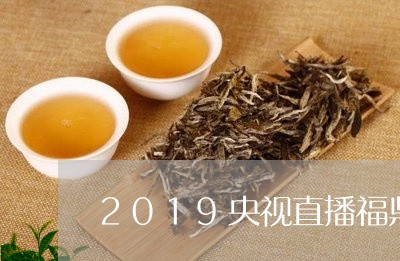 2019央视直播福鼎白茶/2023033073603