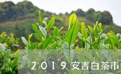 2019安吉白茶市场趋势/2023033078170