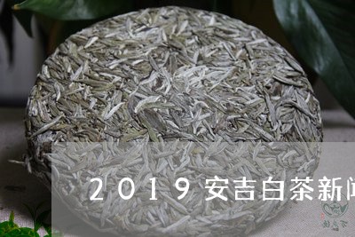 2019安吉白茶新闻发布/2023033066350