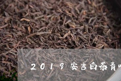 2019安吉白茶青叶市场/2023033089374