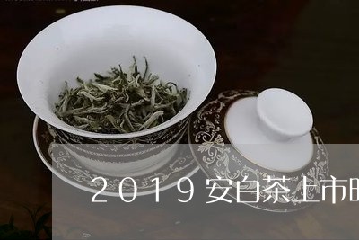 2019安白茶上市时间/2023033027048