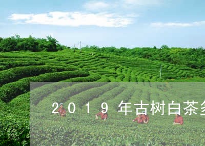 2019年古树白茶多少钱/2023033005070