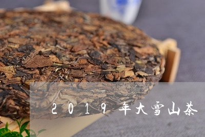 2019年大雪山茶/2023031869504