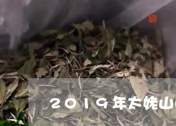 2019年太姥山白毫银针/2023033096161