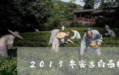 2019年安吉白茶推介会/2023033051816