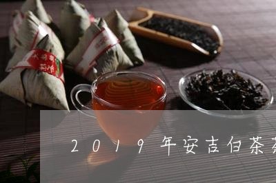 2019年安吉白茶茶价格/2023033051704