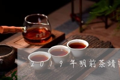 2019年明前茶靖安白茶/2023033063826