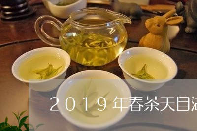 2019年春茶天目湖白茶/2023033094149