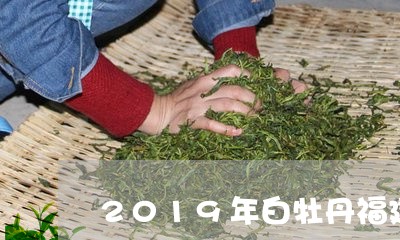 2019年白牡丹福建白茶/2023033080703