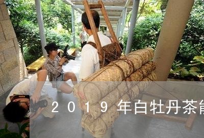 2019年白牡丹茶能喝吗/2023033098683