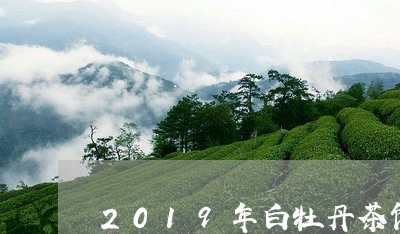 2019年白牡丹茶饼口感/2023033061602