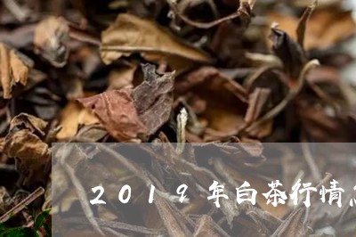 2019年白茶行情怎么样/2023033001803