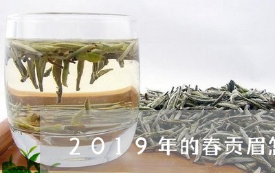 2019年的春贡眉怎么样/2023033054149