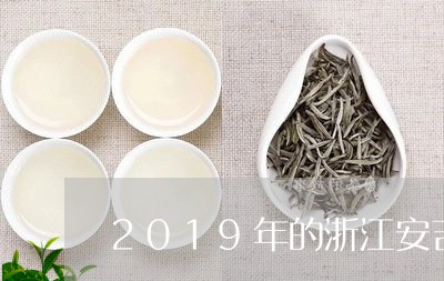 2019年的浙江安吉白茶/2023033030369