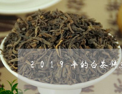 2019年的白茶饼怎么泡/2023033060603