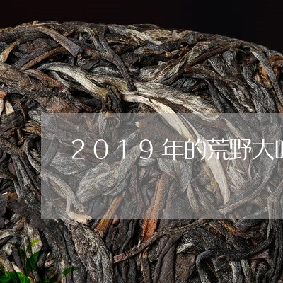 2019年的荒野大叶寿眉/2023033021504