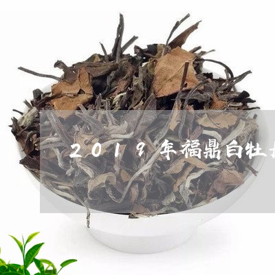 2019年福鼎白牡丹茶饼/2023033060693