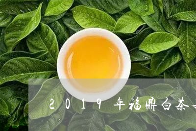 2019年福鼎白茶寻茶记/2023033029381