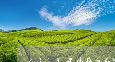 2019年福鼎白茶市场价/2023033017380