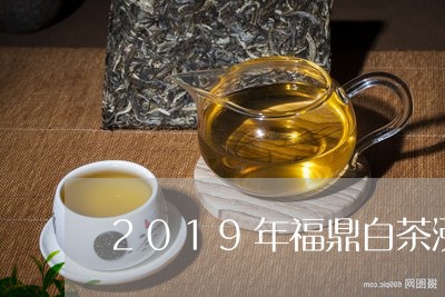 2019年福鼎白茶涨价格/2023033009484