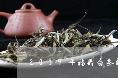 2019年福鼎白茶的走势/2023033056392