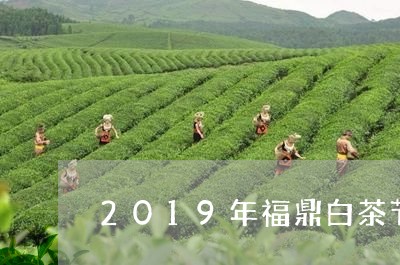 2019年福鼎白茶节直播/2023033095160