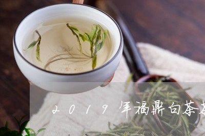 2019年福鼎白茶茶产量/2023033035047