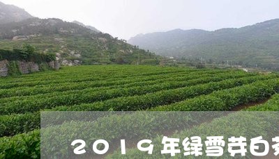 2019年绿雪芽白茶价格/2023033060605