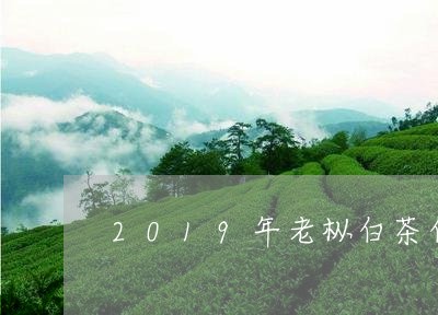 2019年老枞白茶白牡丹/2023033045058