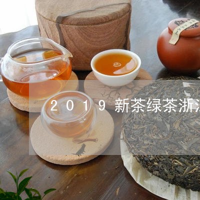 2019新茶绿茶浙江白茶/2023033084026