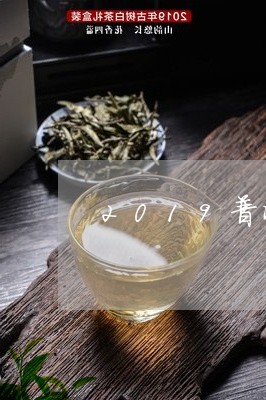 2019普洱茶展/2023031607591